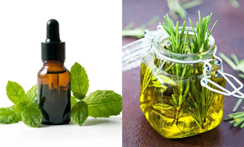 Peppermint Oil vs Rosemary Oil: Which one’s better for instant hair growth?