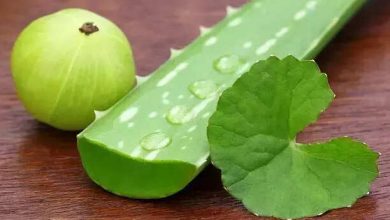 Amla vs Aloe Vera: What’s better for hair growth?