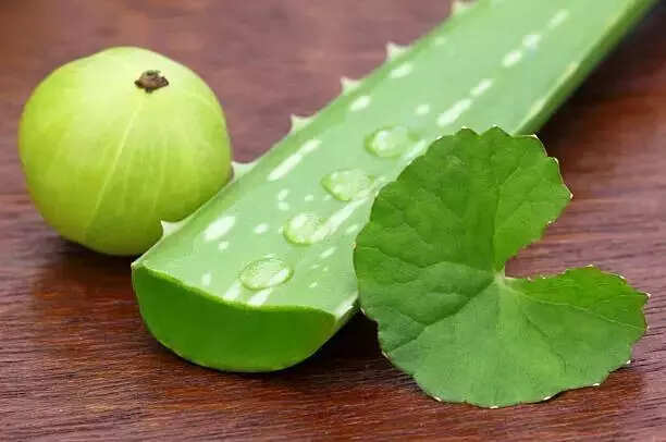 Amla vs Aloe Vera: What’s better for hair growth?