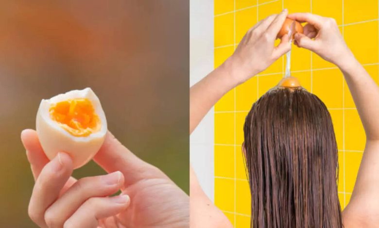 Eating egg or applying it: What's better for hair growth?
