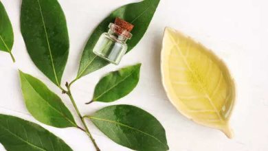 This two-ingredient oil can end your dandruff woes