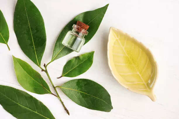 This two-ingredient oil can end your dandruff woes