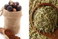 Hair Growth: Reetha vs Rosemary: Which is better for quick hair growth? |