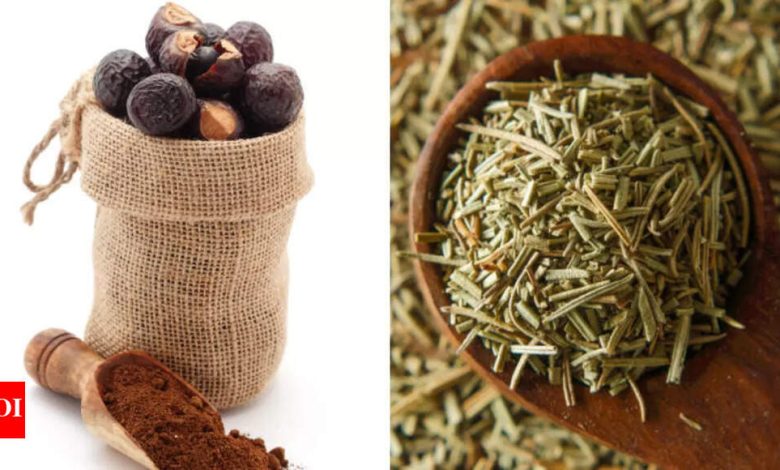 Hair Growth: Reetha vs Rosemary: Which is better for quick hair growth? |