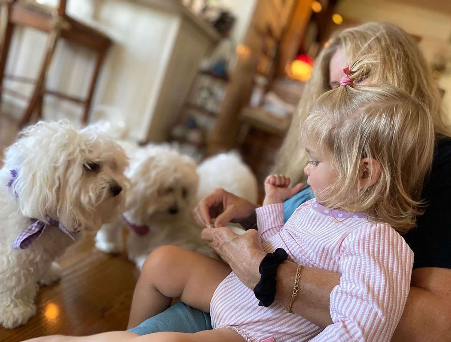 https://www.instagram.com/p/CDPCHrlHHda/ barbrastreisand Verified Our 3 doggies captivated by Westlyn... 89w