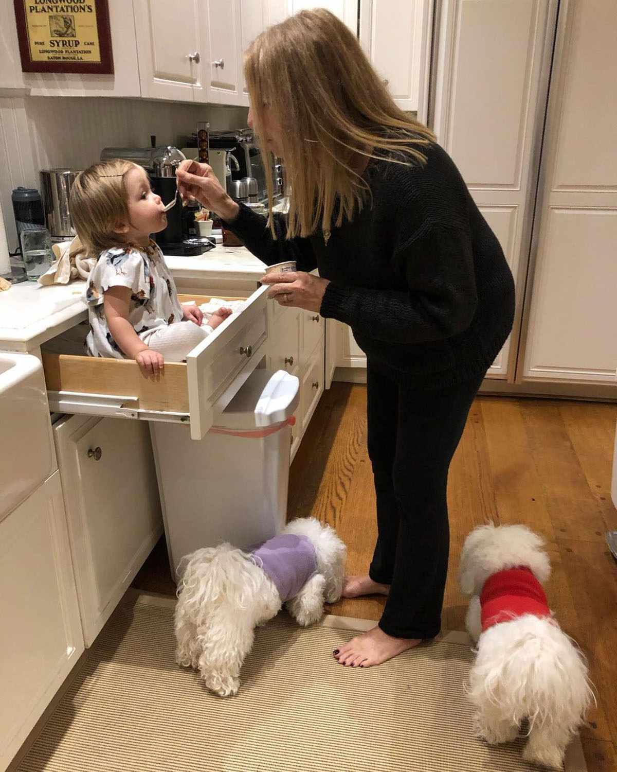 https://www.instagram.com/p/B7WiQ--HdjV/ barbrastreisand Verified So wonderful to see Westlyn again after her trip to the East Coast! 💛 117w