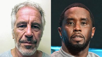Jeffrey Epstein and Sean