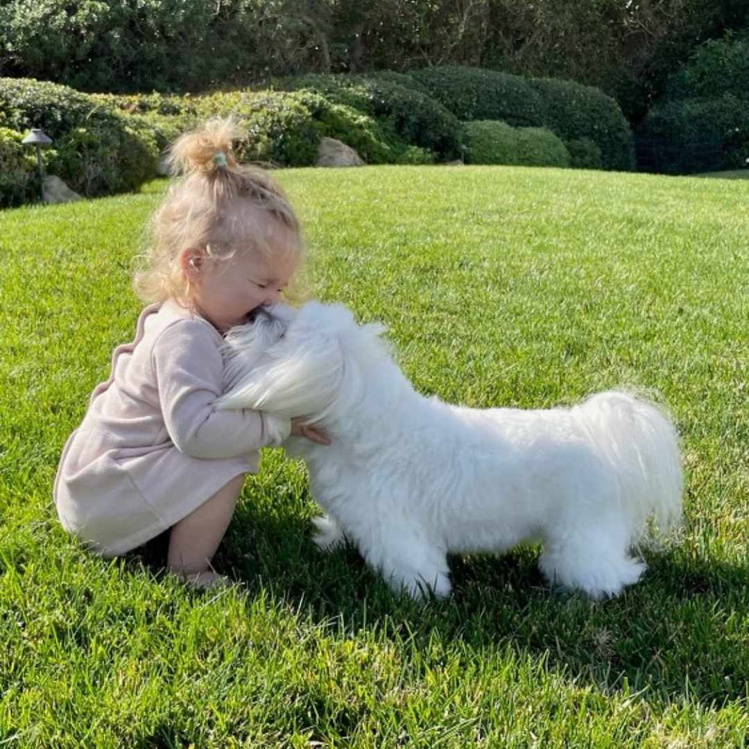 Barbra Streisand's grand-daughter Chapel Grace Brolin
