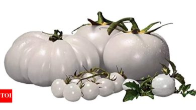 White Tomato extract: The anti-ageing skincare ingredient you may not have heard of