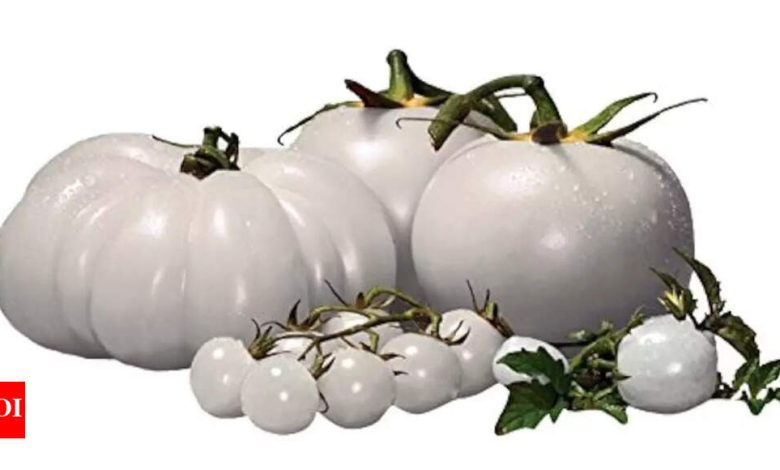White Tomato extract: The anti-ageing skincare ingredient you may not have heard of