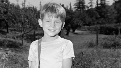 Hollywood Flashback: Little Ron Howard Played for Laughs on ‘The Andy Griffith Show’