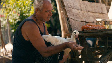‘The Tale of Silyan,’ Venice-Winning Doc, Acquired by Nat Geo for Oscar Run (Exclusive)