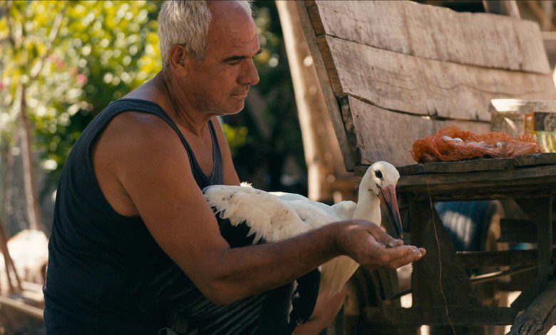 ‘The Tale of Silyan,’ Venice-Winning Doc, Acquired by Nat Geo for Oscar Run (Exclusive)