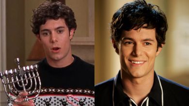 Adam Brody as Seth Cohen