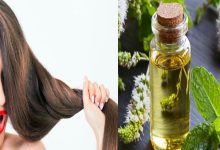 4 reasons why you need to try cooling peppermint oil for hair growth