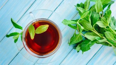 Benefits of Mint Leaves: Great For Weight Loss + 10 Incredible Benefits Of Adding To Your Diet