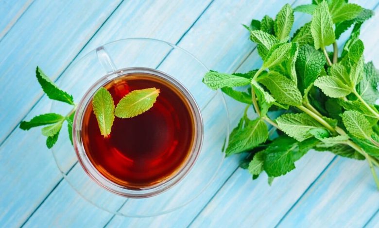 Benefits of Mint Leaves: Great For Weight Loss + 10 Incredible Benefits Of Adding To Your Diet