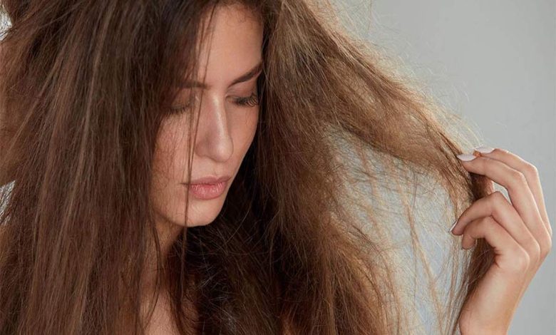 11 Natural Home Remedies For Dry and Frizzy Hair Try