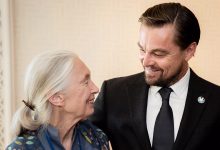Jane Goodall, UN Messengers of Peace, and Oscar awarded actor Leonardo DiCaprio at the General Assembly before the United Nations Peace Bell Ceremony held every year on this day in the Japanese Garden on the grounds of United Nations HQ.