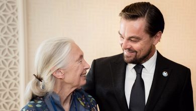 Jane Goodall, UN Messengers of Peace, and Oscar awarded actor Leonardo DiCaprio at the General Assembly before the United Nations Peace Bell Ceremony held every year on this day in the Japanese Garden on the grounds of United Nations HQ.