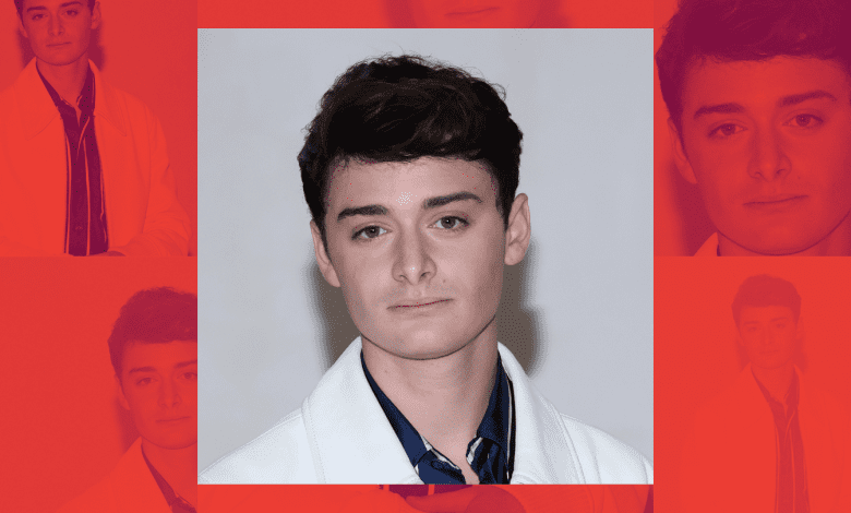 Noah Schnapp Is Terrifyingly Excited for Final Season