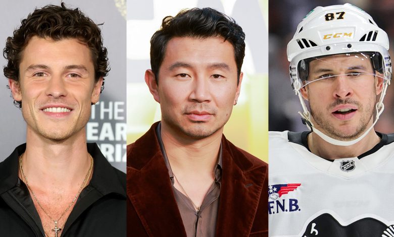 Shawn Mendes, Simu Liu, NHL