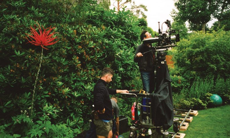 “Once You See That Stuff Projected, You Don’t Really Turn Back”: THR’s Cinematographers Roundtable