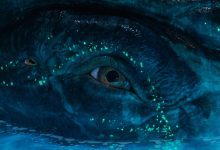 Payakan Avatar Fire and Ash