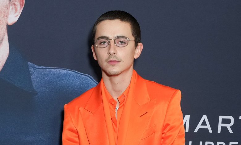 Timothée Chalamet at A24
