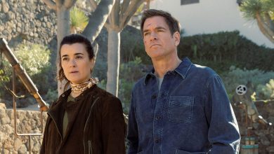 L-R Cote De Pablo as Ziva David and Michael Weatherly as Tony Dinozzo In NCIS: Tony & Ziva, episode 10, season 1,