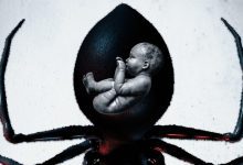 Abigail Cowen, Jackie Earle Haley and Lou Diamond Phillips to Star in Indie Thriller ‘Widow’ (Exclusive)