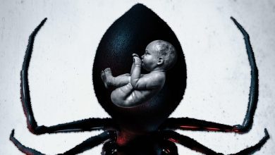 Abigail Cowen, Jackie Earle Haley and Lou Diamond Phillips to Star in Indie Thriller ‘Widow’ (Exclusive)