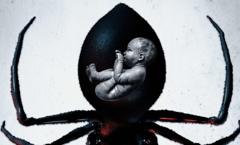 Abigail Cowen, Jackie Earle Haley and Lou Diamond Phillips to Star in Indie Thriller ‘Widow’ (Exclusive)