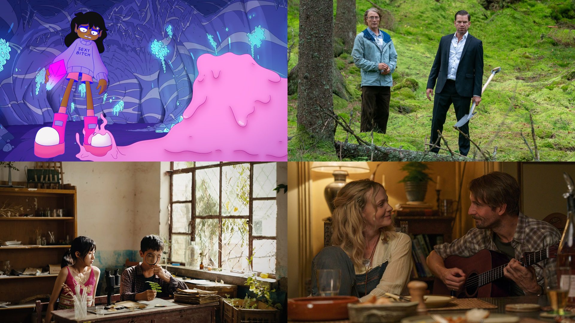 Hidden Gems 2025 (Clockwise from top left): 'Lesbian Space Princess,' 'The Last Viking,' 'The Ballad of Wallis Island,' 'The Botanist'