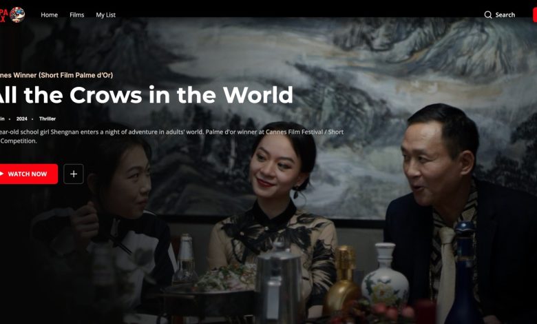 Vilpa Films to Launch Short Film Streamer Vilpa Max (Exclusive)