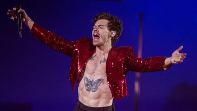 Harry Styles Announces 2026 Tour