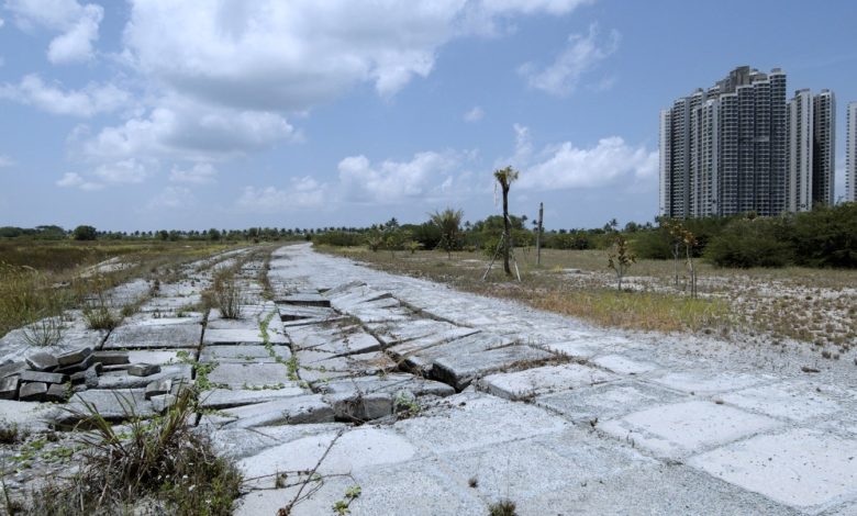 ‘Hungry’ Director on Her Sci-Fi Doc About a World Without Humans That Is “a Call to Action”