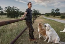 Did James Van Der Beek Really Die Broke?