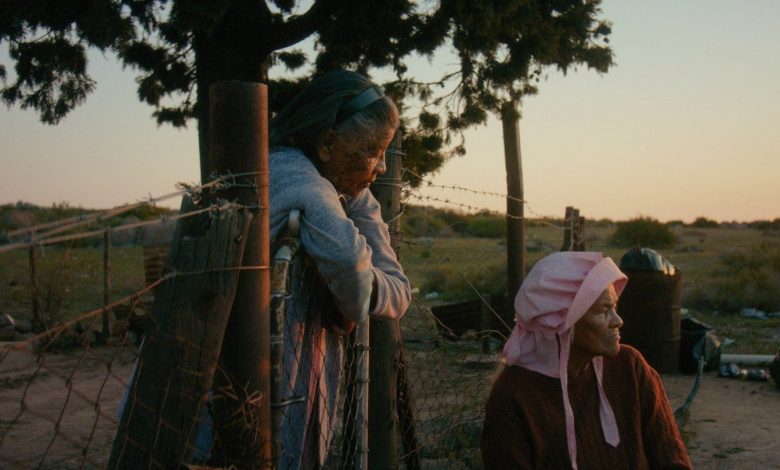 Rotterdam Film Festival: ‘Variations on a Theme’ and ‘Master’ Win Top Awards