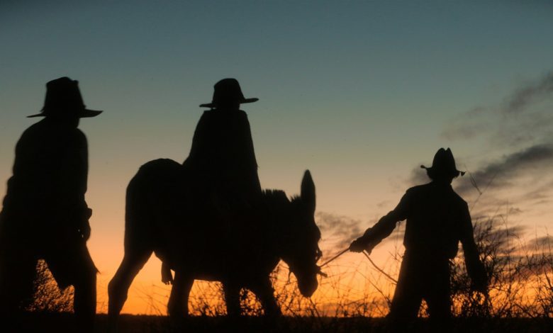 “It’s Up to Us to Tell the Truth”: Warwick Thornton on Exploring Indigenous Trauma With Berlin-Premiering Outback Western ‘Wolfram’