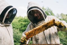 Aidan Delbis and Jesse Plemons in Bugonia.