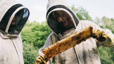 Aidan Delbis and Jesse Plemons in Bugonia.
