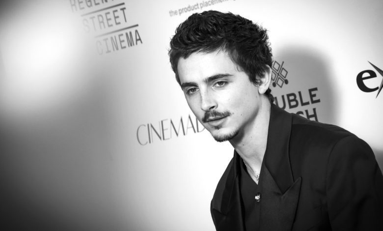 Why Timothee Chalamet Will or Won't Win the Oscar for 'Marty Supreme'