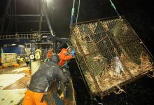 Todd Meadows, a Deckhand on ‘Deadliest Catch,’ Dies at 25