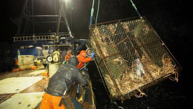 Todd Meadows, a Deckhand on ‘Deadliest Catch,’ Dies at 25